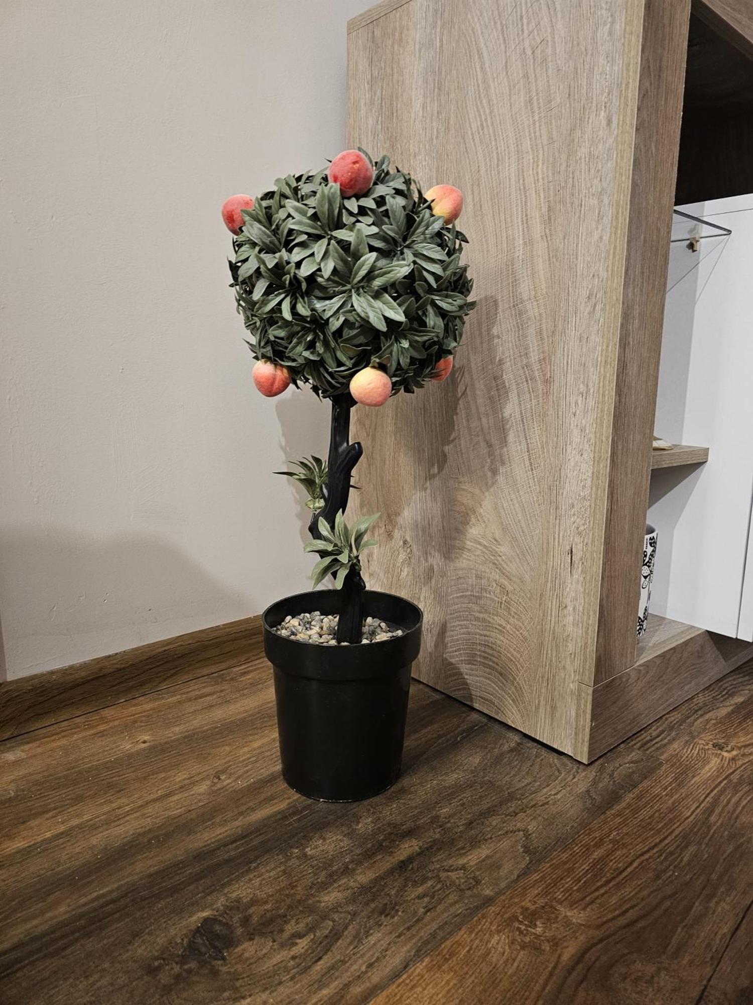 Bright Inn - Holiday & Business Apartment Sofya Dış mekan fotoğraf
